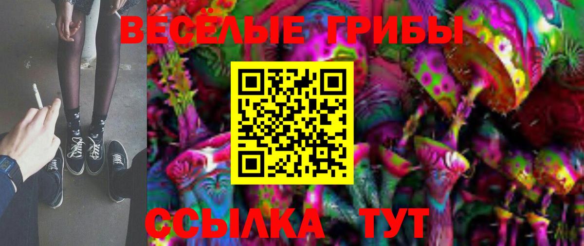 Псилоцибиновые грибы Psilocybe Аргун