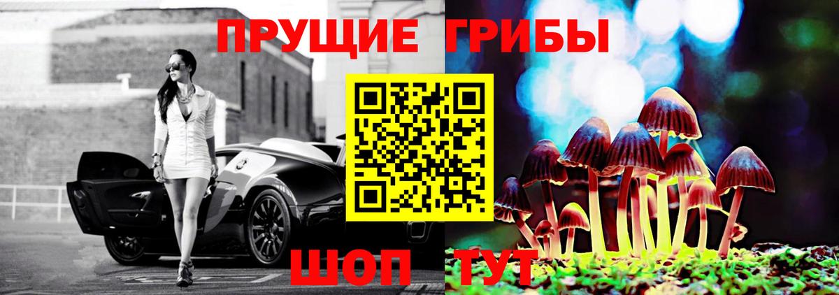 Аргун  Галлюциногенные грибы Psilocybe  Вход с VPN 